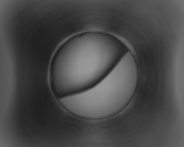 X0000100950904200806241120
