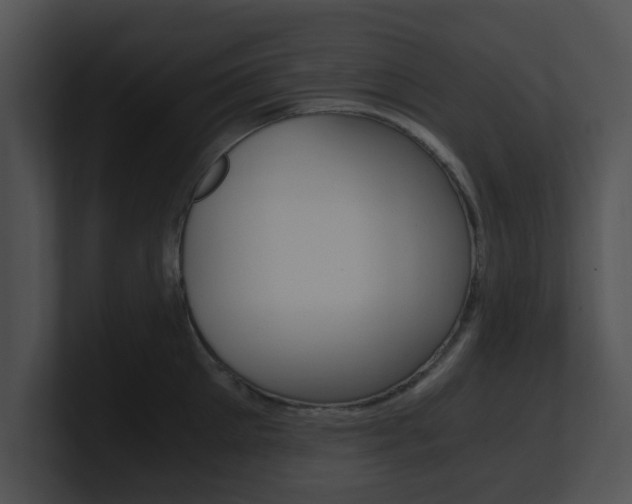 X0000100950905200806241120