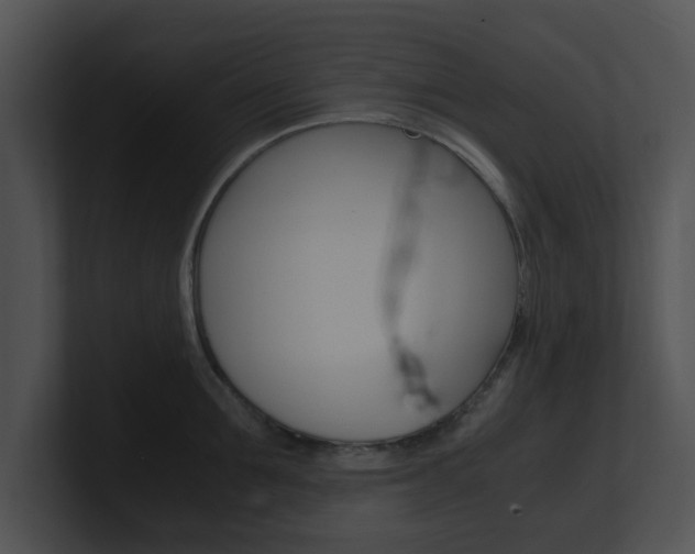 X0000100950907200806241120