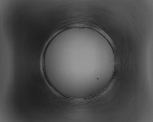 X0000100950909200806241120