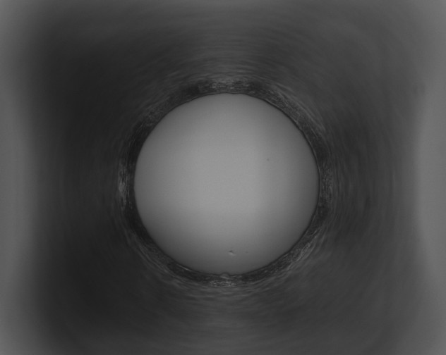 X0000100950914200806241119