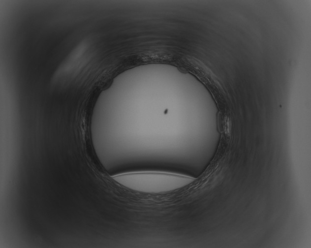 X0000100950915200806241119