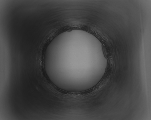 X0000100950916200806241119