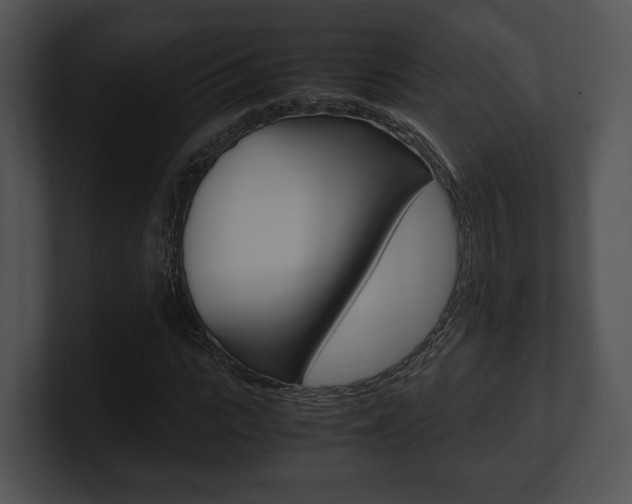 X0000100950919200806241119