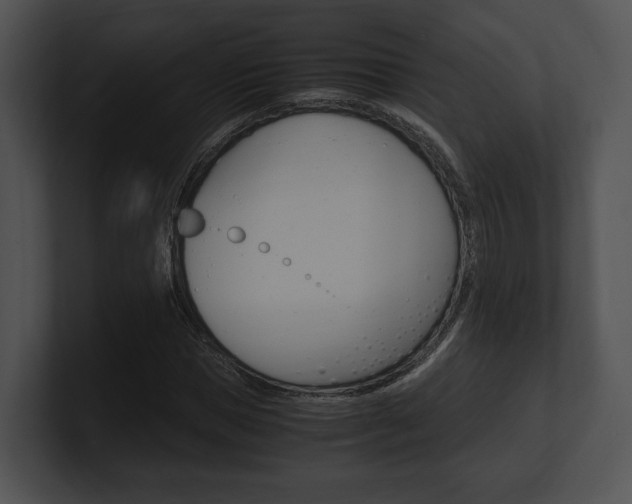 X0000100950921200806241119