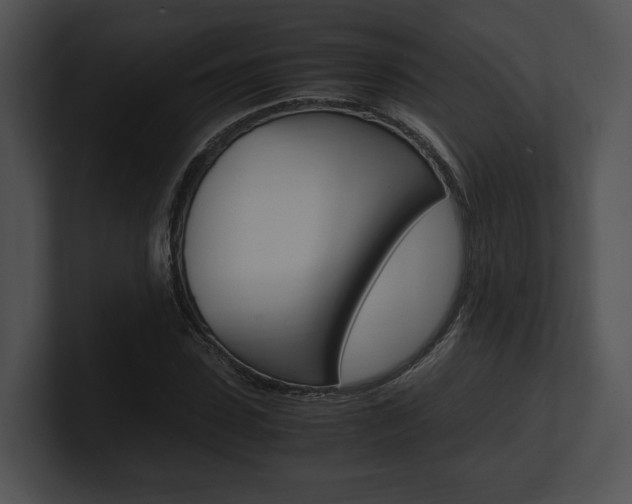 X0000100950923200806241119