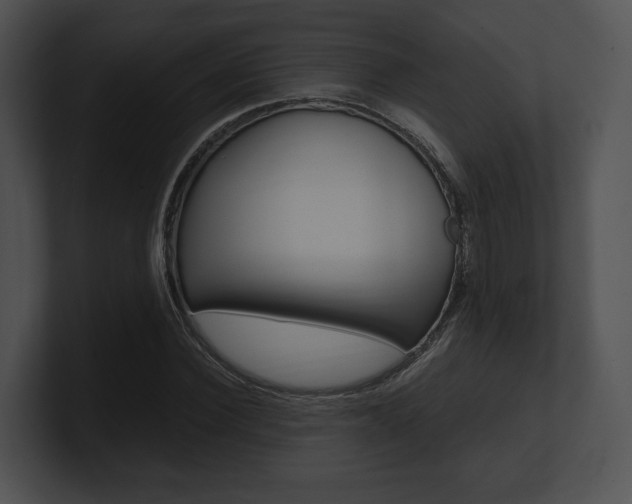 X0000100950924200806241119