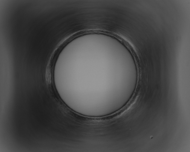 X0000100950925200806241120