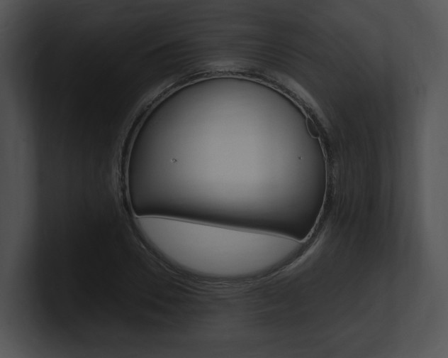 X0000100950930200806241120