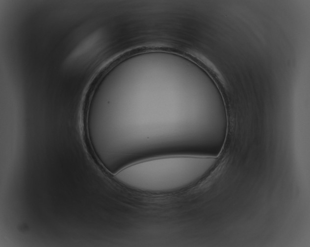 X0000100950935200806241120