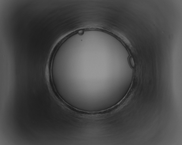 X0000100950936200806241120