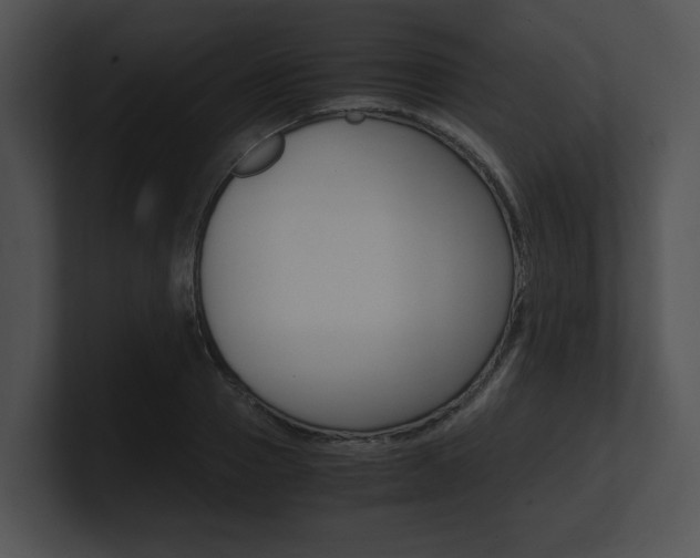 X0000100950937200806241120
