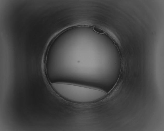 X0000100950944200806241120