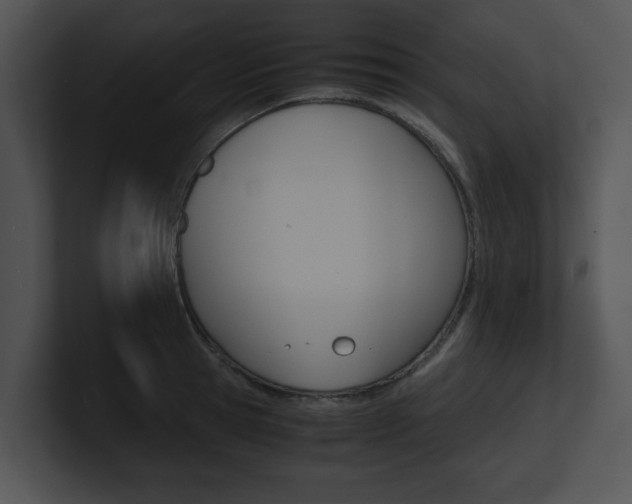 X0000100950945200806241120