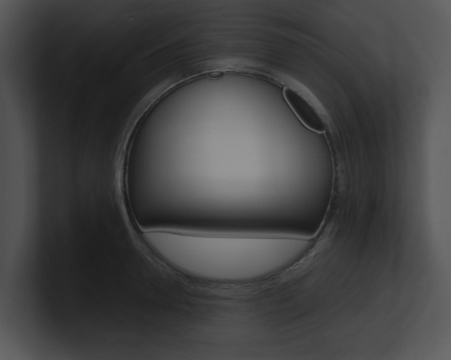 X0000100950946200806241120