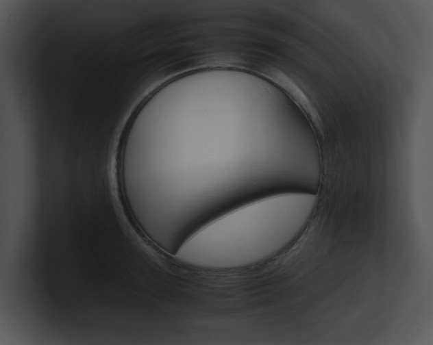 X0000100950947200806241120