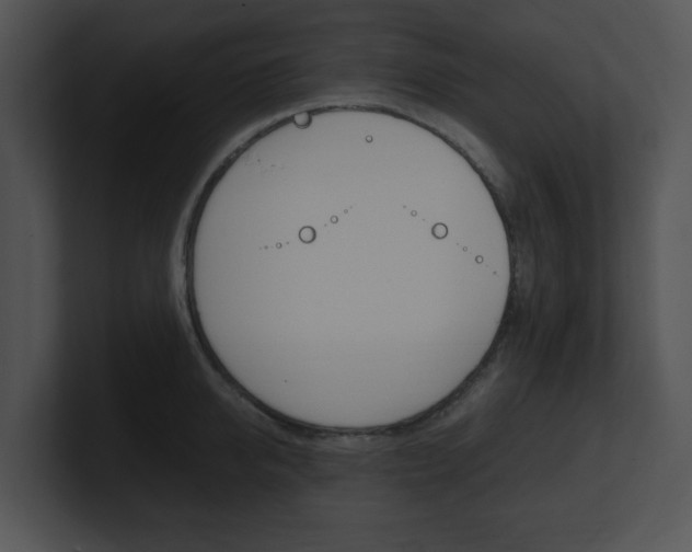 X0000100950950200806241120