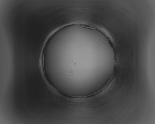 X0000100950952200806241120