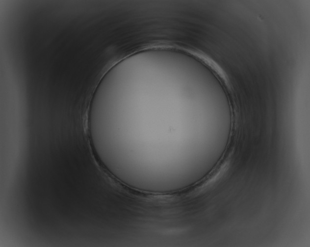X0000100950953200806241120