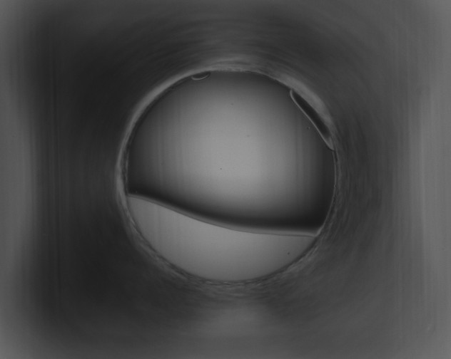 X0000100950960200806241120