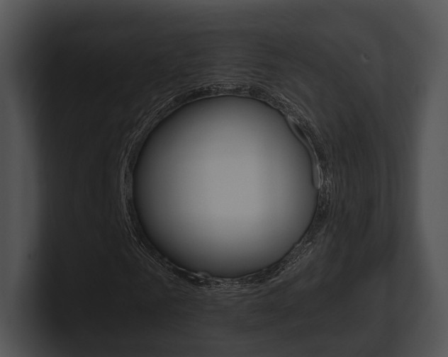 X0000100950961200806241119