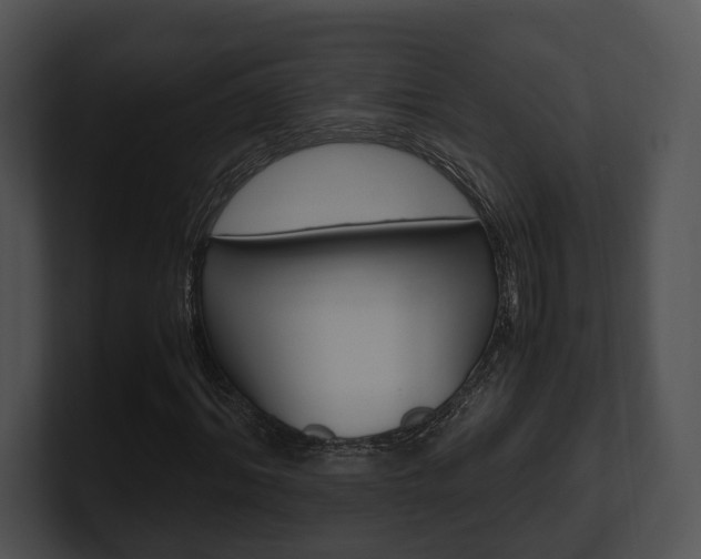 X0000100950964200806241119
