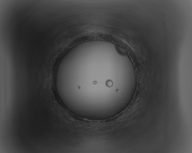 X0000100950965200806241119