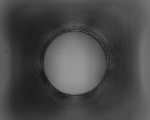 X0000100950966200806241119