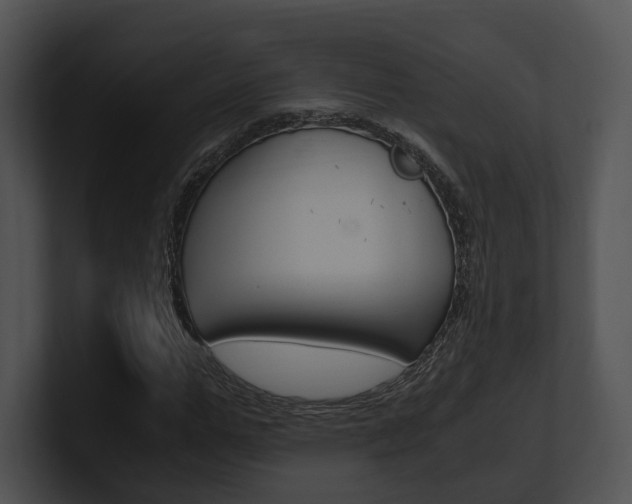 X0000100950967200806241119