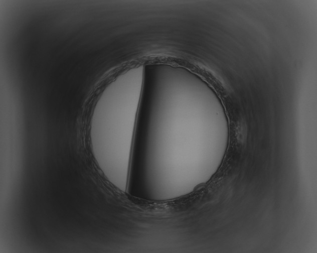 X0000100950968200806241119