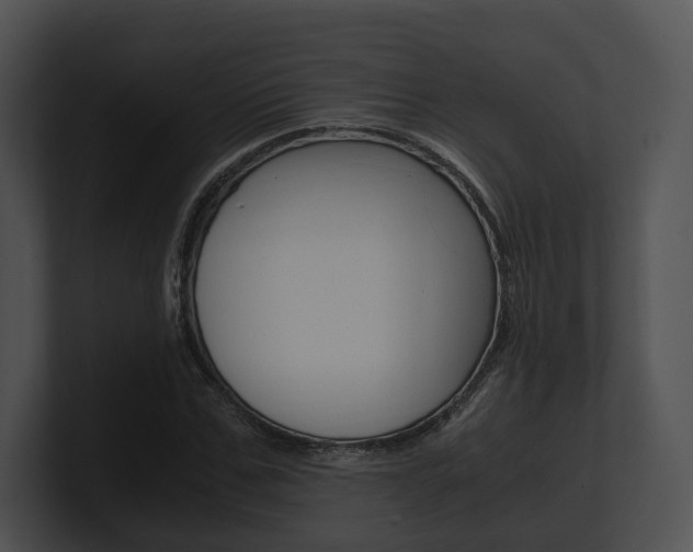 X0000100950971200806241119