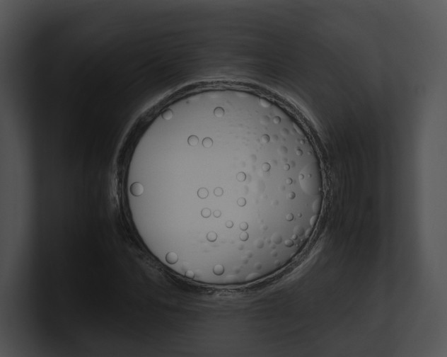 X0000100950974200806241119