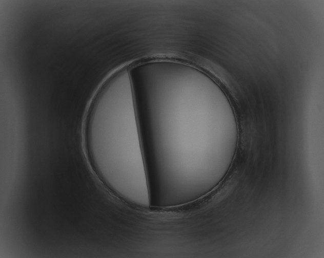 X0000100950984200806241119