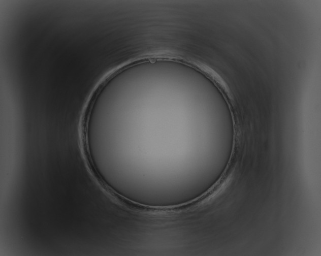X0000100950989200806241119