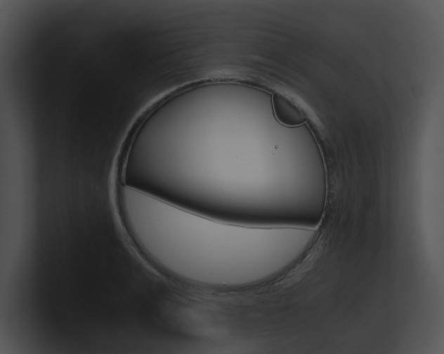 X0000100950991200806241119