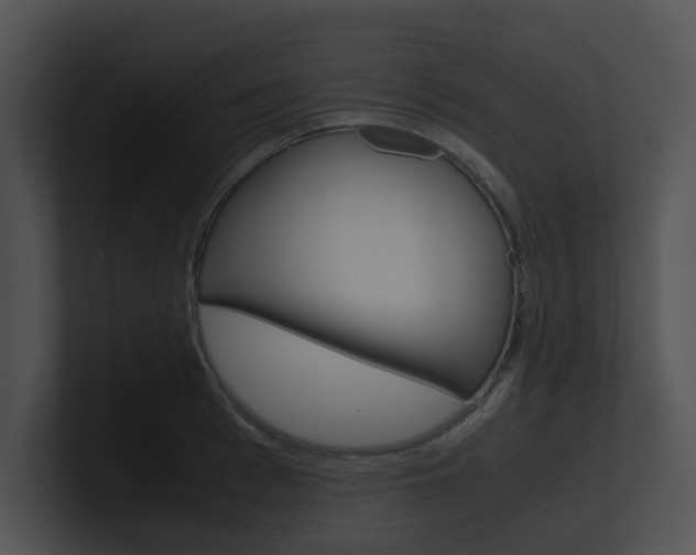 X0000100950993200806241119