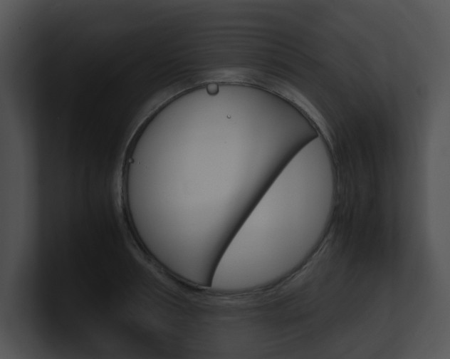 X0000100950994200806241119