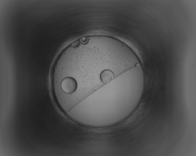 X0000100950998200806241119