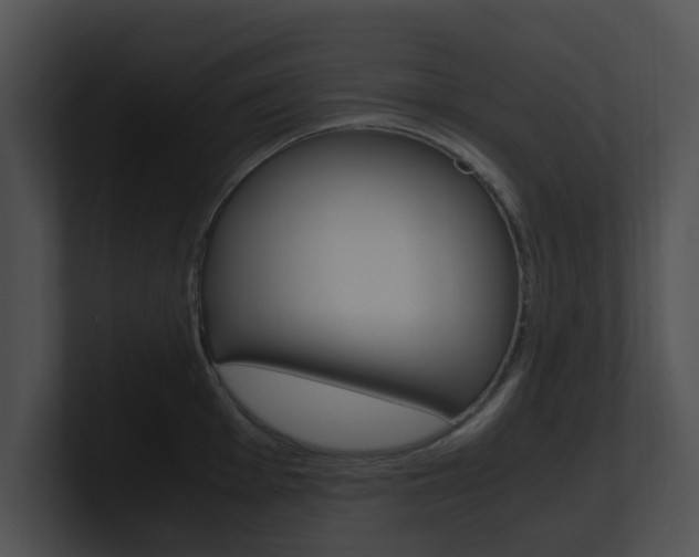 X0000100951001200806241119
