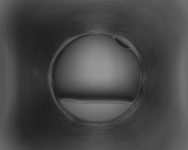 X0000100951005200806241119