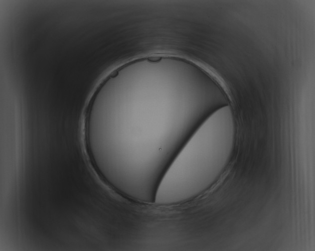X0000100951006200806241119