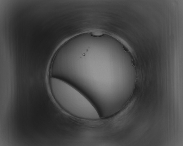 X0000100951007200806241119