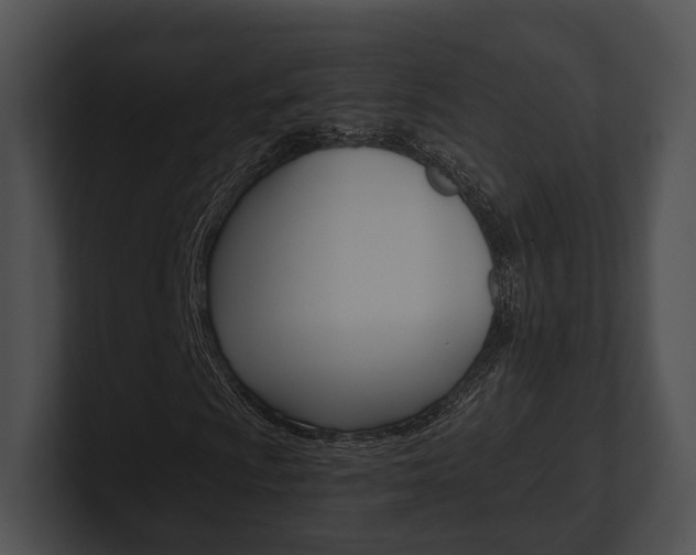 X0000100951009200806241118