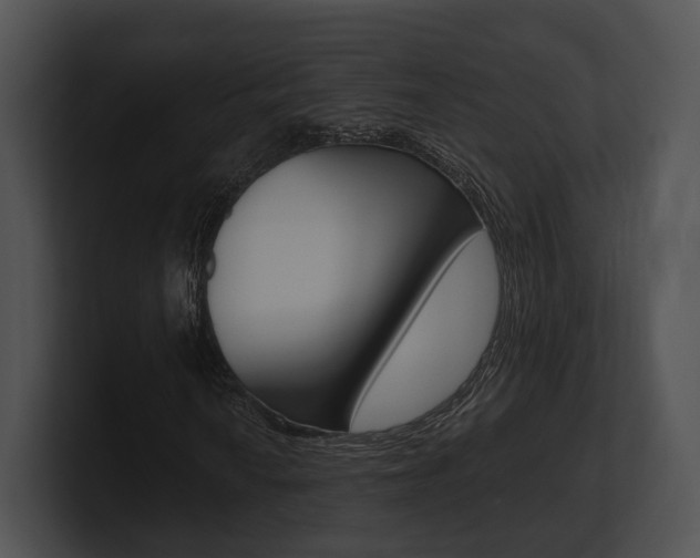 X0000100951010200806241118