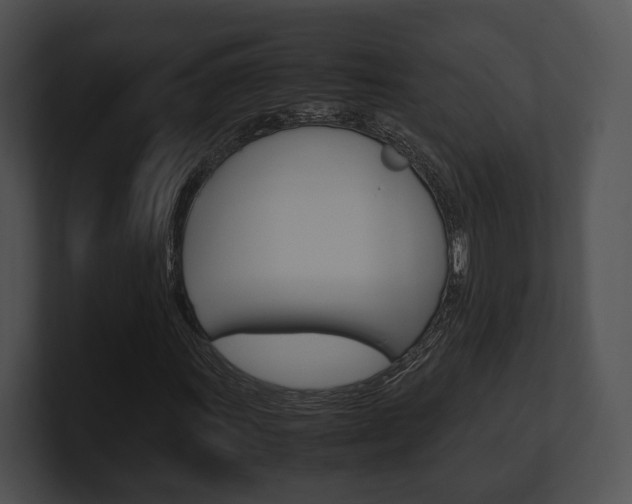X0000100951011200806241118