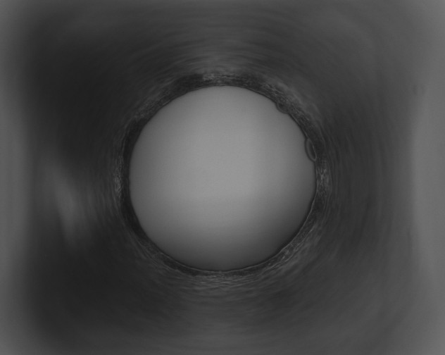 X0000100951012200806241118
