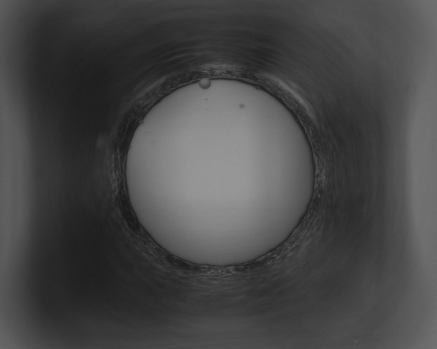 X0000100951015200806241118