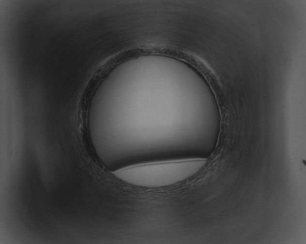 X0000100951016200806241118