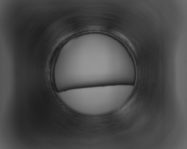 X0000100951019200806241118