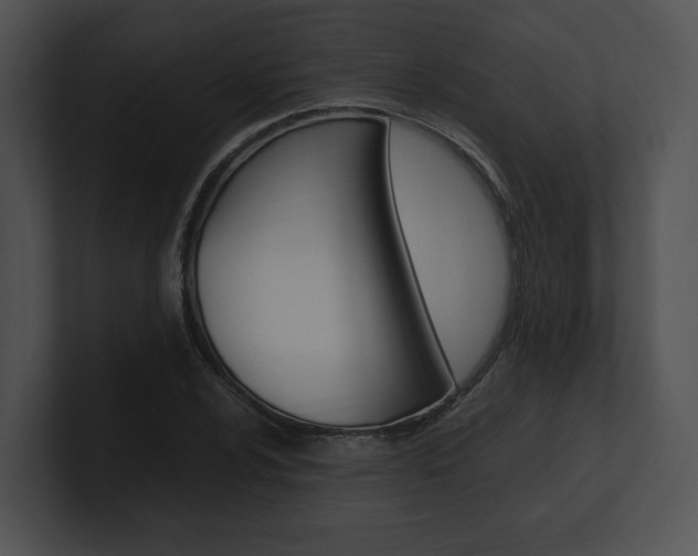 X0000100951024200806241118